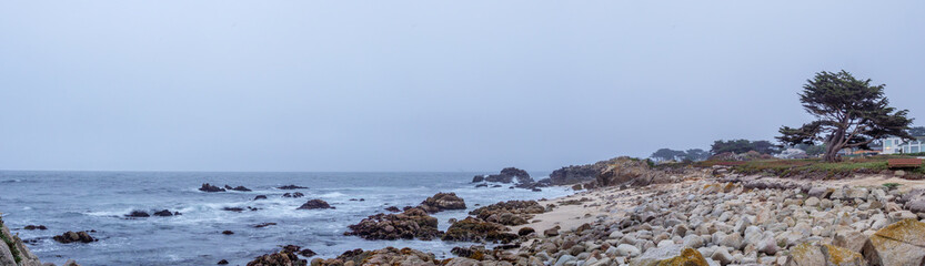 Fototapeta na wymiar Panoramic View of Beach with Sand and Rocks and Large Tree