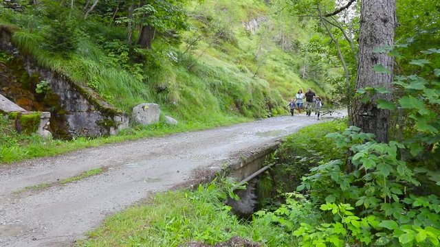 famiglia felice corre su un sentiero di montagna