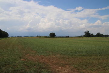 Fototapeta premium Meadow in Wijhe the Netherlands with a lot of cumulus stormclouds above it.