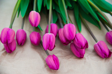 Spring scene of tulip field