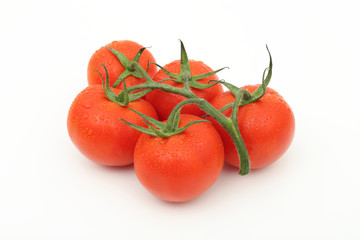 fresh tomatoes