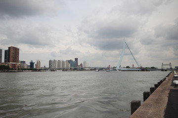 Obraz premium skyline of river Nieuwe maas in the middle of Rotterdam with the Erasmusbrug bridge with nickname the Swan.