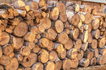 chopped firewood and logs, packed in a row and harvested for the winter