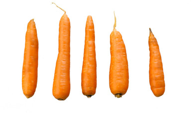 Carrot