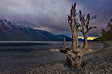 Russia. The South Of Western Siberia. Mountain Altai. Late spring on the shore of lake Teletskoye.