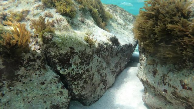 Unterwasser tauchen im Meer mit Actioncam