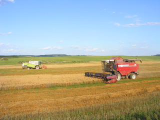 Fototapeta na wymiar Combine harvester works at field, Belarus