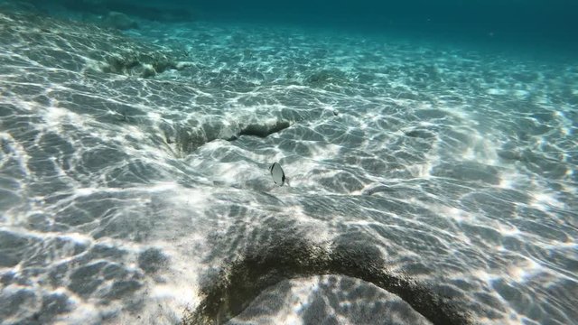 Unterwasser tauchen im Meer mit Actioncam