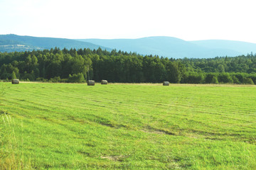 Obraz premium Beautiful summer landscape of a green field against a background of blue mountains, bales of hay, a rural landscape, a farm