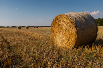 Strohballen auf Feld im Spätsommer 4