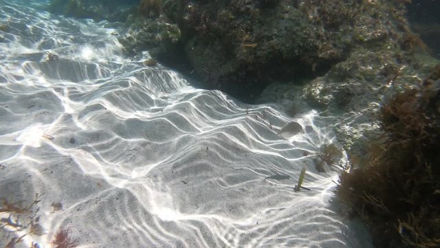 Unterwasser tauchen im Meer mit Actioncam