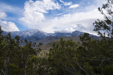 Snowy Mountain Desert