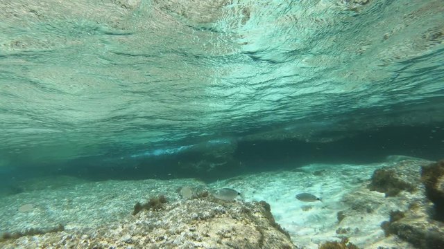 Unterwasser im Meer mit Actioncam