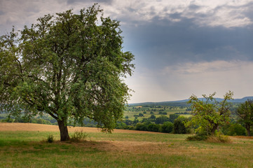 Felder und Wiesen im Spätsommer