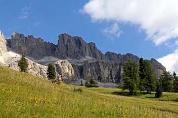 Foto op Canvas la Cresta di Davoi nel gruppo del Catinaccio  Dolomiti di Fassa © gabriffaldi