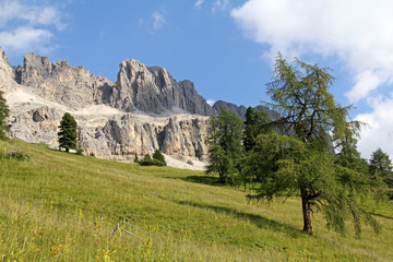 Fototapeta na wymiar la Cresta di Davoi nel gruppo del Catinaccio; Dolomiti di Fassa