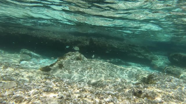 Unterwasser im Meer mit Actioncam