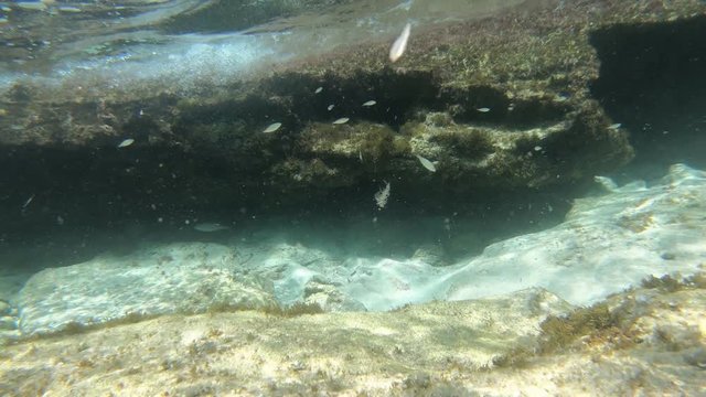 Unterwasser im Meer mit Actioncam