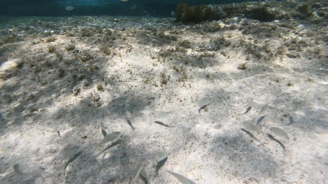Unterwasser im Meer mit Actioncam