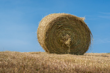 Haying Season - Round Bale against Blue Sky