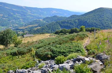 Fototapeta na wymiar Vallée de Saint-Jacques des Blats, Auvergne, France