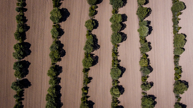 Aerial field in Mexico