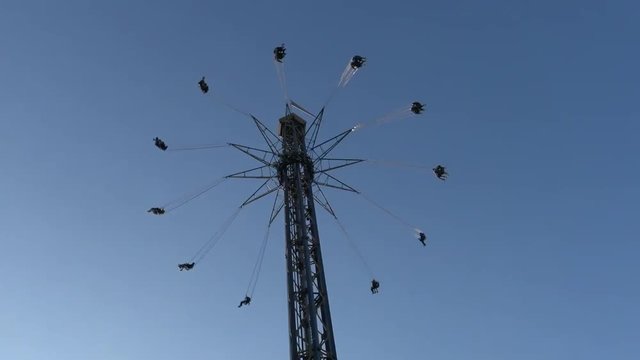 Roller coaster ride at an amusement park