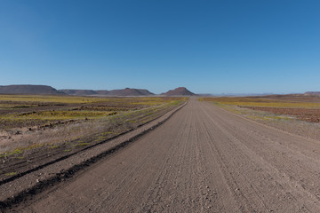 Fototapeta na wymiar Straight gravel road with yellow flower fields on both sides after rainfall in the desert, Namibia