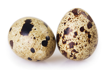 Quail eggs