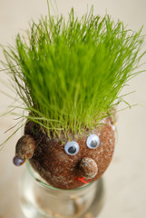 Close up portraitof happy grass growing head
