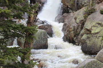 Rapids