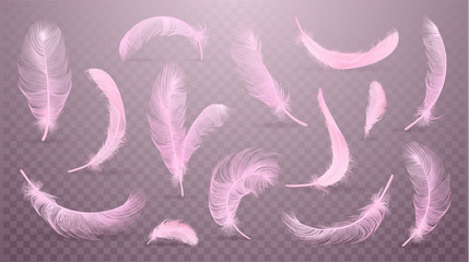 Vector pink feathers collection, set of different falling fluffy twirled feathers, isolated on transparent background. Realistic style, vector 3d illustration.