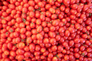 A Pile of Grape tomato bounty