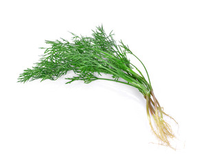 dill isolated on white background