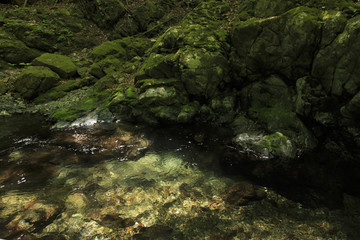 岩肌と清流