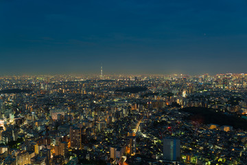 東京風景・東京スカイツリーと大都会東京の街並み