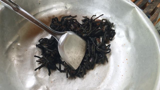Ready for cooking tarantulas in a metal basin ( close-up)