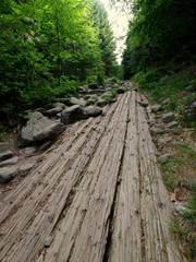 Żółty szlak z Szklarskiej Poręby na Szrenicę wyłożony starymi kłodami z drzew, niczym koryto rzeki