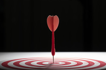 Hitting the center of target, business target concept