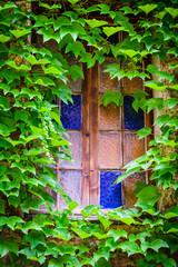 On the streets of a medieval village .Roquebrune-Cap-Martin. French Riviera. Cote d'Azur.