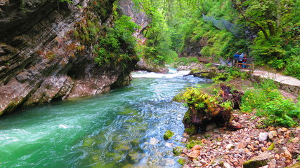 Naklejka premium hiking in ljubljana