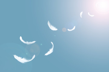 Fototapeta na wymiar White feathers flying in the sky.