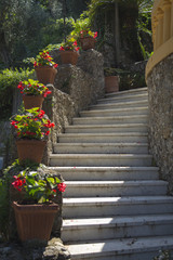Fototapeta na wymiar Stairs in the city Park, Liguria, Italy