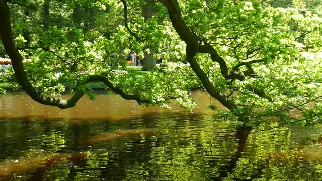 Parco botanico Keukenhof in Olanda
