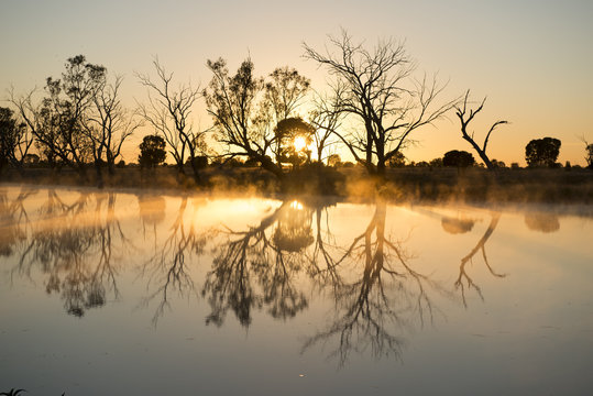 Caliguel lagoon near Condamine Queensland .