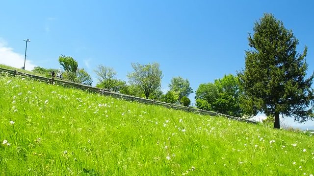 環境イメージ　青空と緑の丘