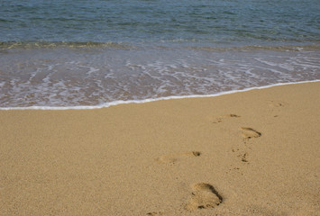 Footprints in the sand on the sea beach