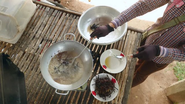 Woman plunging dead tarantulas into boiling oil for cooking ( upper view)