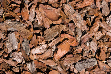 wooden bark chips