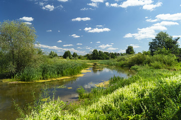 Fototapeta na wymiar Year landscape with stream